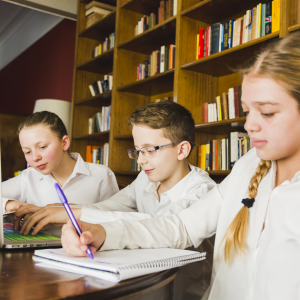 6. Diplomado Lectura, escritura y pensamiento crítico en entornos físicos y digitales