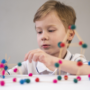 5.1 Fundamentos de neuroeducación y plasticidad cerebral